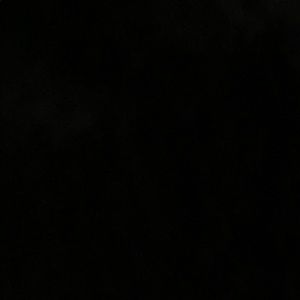 Meet your Posher, Wesley